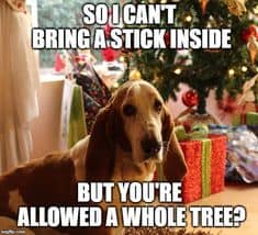 Dog Memes christmas