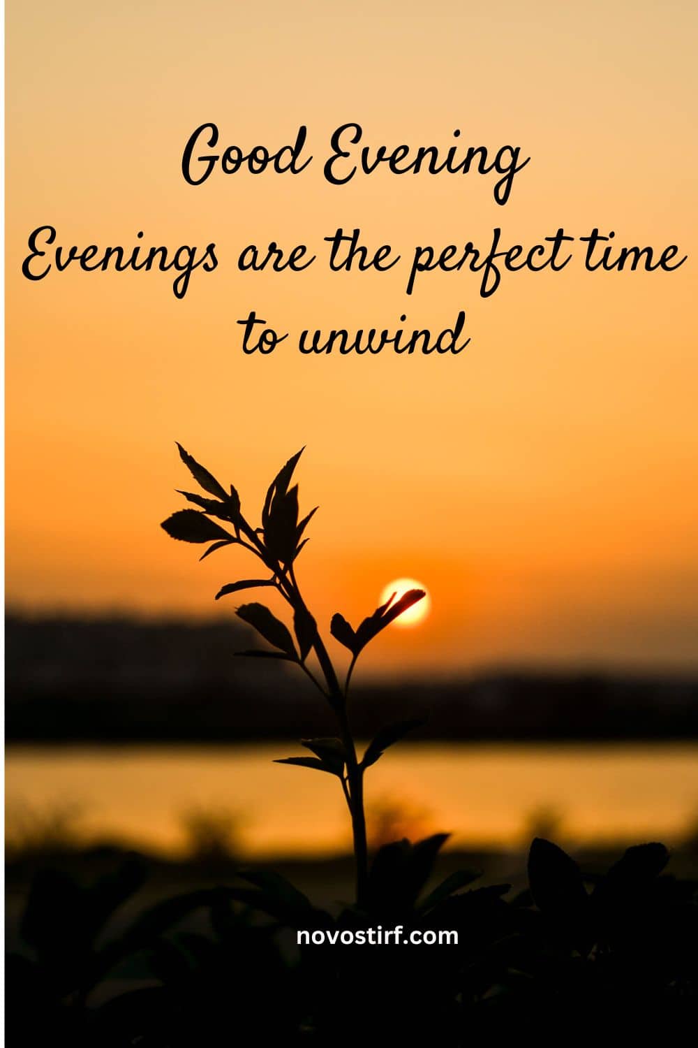 35+ Good Afternoon Greetings, Quotes & Wishes For Everyone